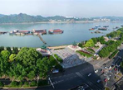 宜昌滨江公园补植苗木9100株
