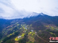 兴山“冬春并存” 山上积雪山下花开