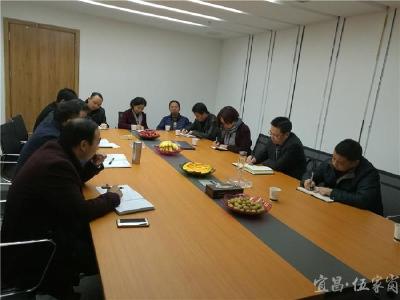 谭志军调研宜昌国际广场项目