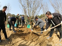 秭归千余干群坝前挥锹植树