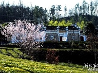 宜都吕家坳村现绝美春景