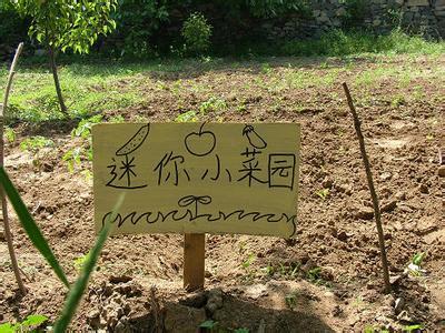 宜昌市家庭农场达2360个 总量、速度和质量居全省前列