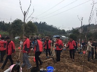 为大美宜昌添新绿 市民共植成长林