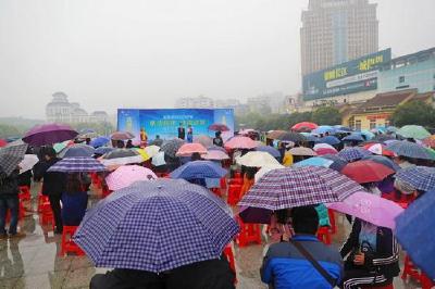 伍家岗区开展“依法信访 违法必究”专题宣传活动