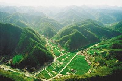 全国全省国土绿化和森林防火工作电视电话会提出这些要求
