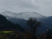 宜昌春雪降临 美不胜收