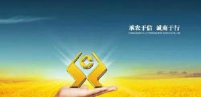 猇亭农商行支持地方经济发展