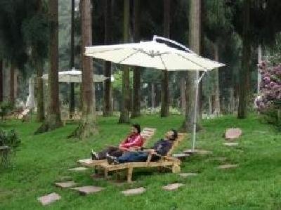 黄惠宁赴当阳调研 提出推进三峡康养试验区建设