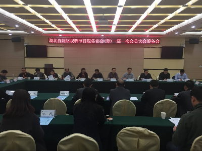 湖北省网络视听节目服务协会成立筹备会在汉召开
