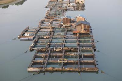 省考评组考核宜昌湖泊管理工作 要求按期全面完成网箱拆除