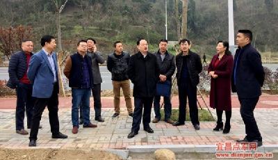 王怀炳现场督办佳和路市政项目征地搬迁工作