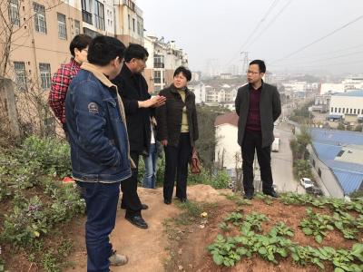 市民政局领导实地调研开发区散坟整治工作