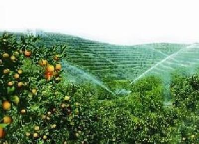 今年宜昌新增标准橘园10万亩 继续实施“七园三改六推”工程