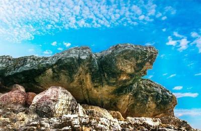 夷陵丨新建双头狮景区 现罕见“百龟”地质奇观