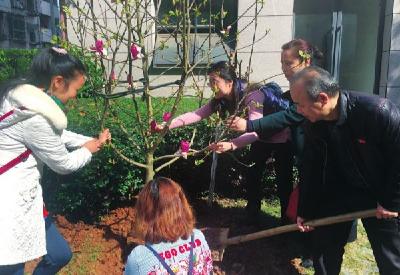 学院街办共建生态文明新社区