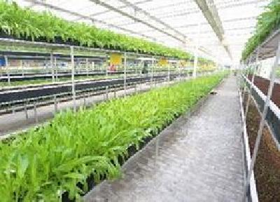 陈一新：推动现代都市农业发展走在全国前列