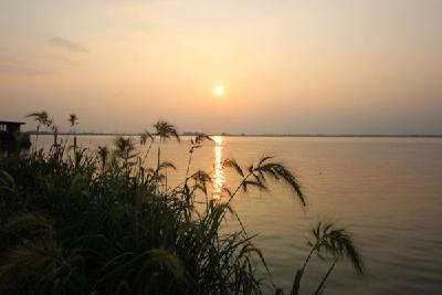 水清 鱼翔 景美 ——生态治理的金湖湿地样本