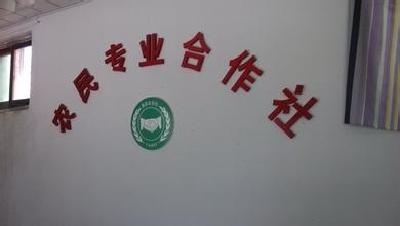 宜昌农民专业合作社逾6000家 