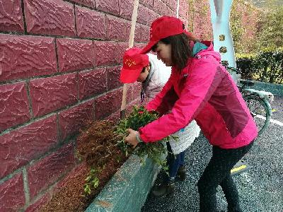 望洲岗社区开展植树节活动