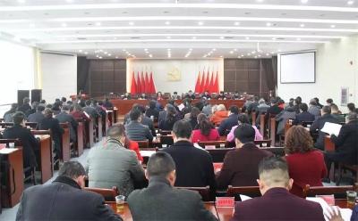 猇亭区召开2017年区委党建工作会议