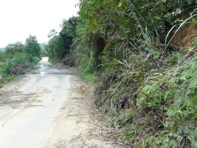 宜昌市拟用四年整治农村公路隐患