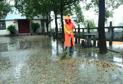 暴雨大风天落叶铺满路 西陵环卫忙清扫