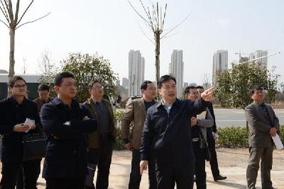 汪元程现场督办东站周边综合治理