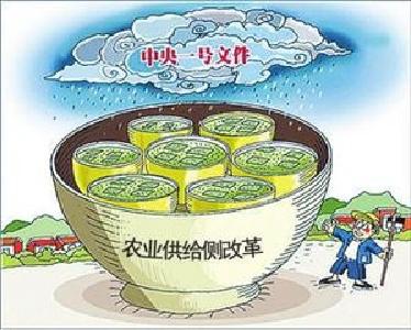 视频丨宜昌市委中心组集中学习深化农业供给侧结构性改革