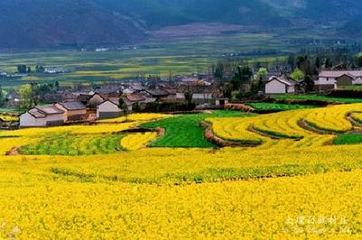 当阳市半月镇胡家湾村发展乡村旅游侧记