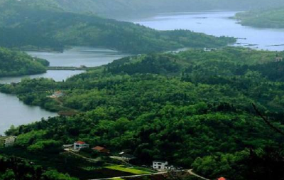 伍家岗区森林保护工作受肯定