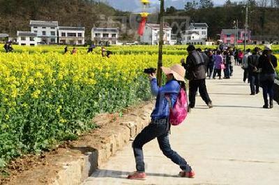 乡村旅游助推精准扶贫 省人大民宗侨外委会调研组来宜