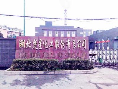 市政府对宜都突出环境问题现场督查约谈