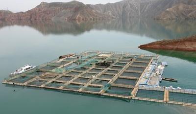 宜昌湖库养殖整治获阶段性成效 清理网箱养殖面积2108亩