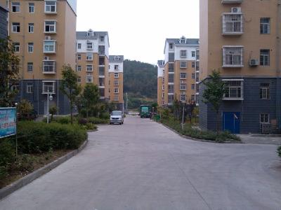 猇亭区政协组织安置型小区管理调研