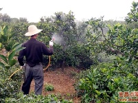 [土城乡]茅家店村送技术到田间