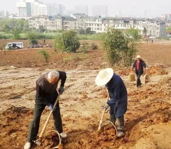 园区公司投资2000万元  打造3000亩城市绿肺