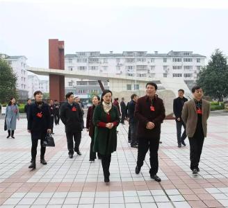 区人大开展《中华人民共和国未成人保护法》执法检查