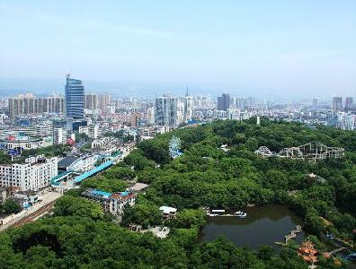 一季度宜昌招商迎开门红 新签约亿元以上项目85个
