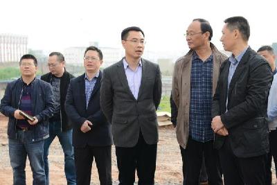 王云清调研伍家乡重点项目