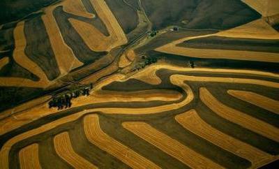 农业部：发展休闲农业鼓励资本下乡 要保证农民利益