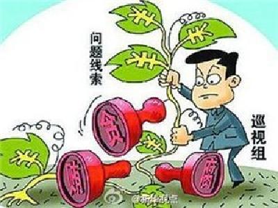 省委第一巡视组组长王树华为宜昌巡察工作“支招”