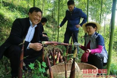 人大代表当村民致富“领头雁”