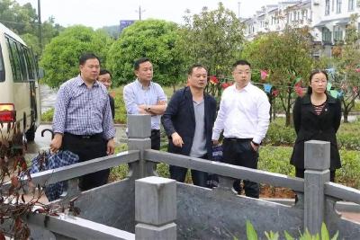 杨青山带队开展防汛隐患大检查