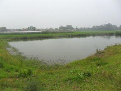 宜昌启动纳污坑塘环境整治