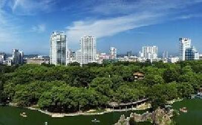 区人大视察堡坎除险修复工程