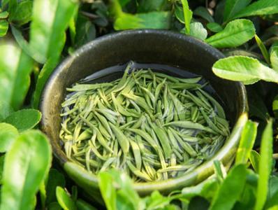 视频丨2017宜昌茶叶展示展销5月9日举办