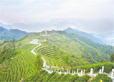 宜昌休闲农业年营收逾四十亿