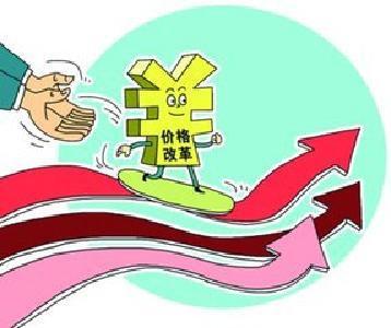 张岱梨率执法检查组来宜检查《湖北省价格条例》实施情况