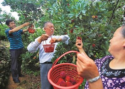 生态农业助民增收
