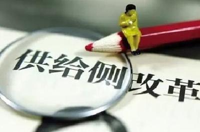 点军区实施“四改双增” 推进农业供给侧结构性改革